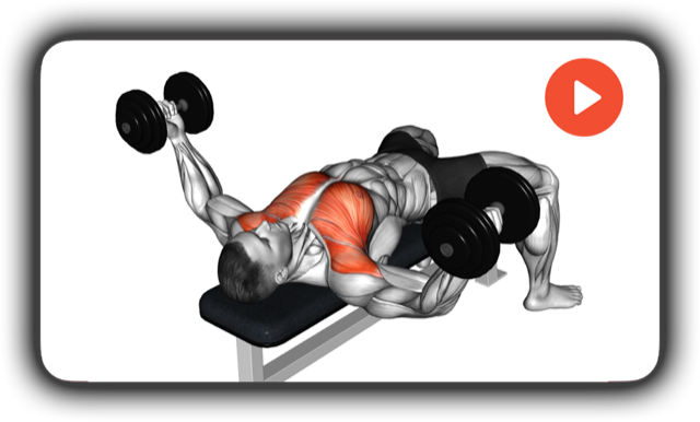 Animated dumbbell flys demonstration with the chest muscles highlighted